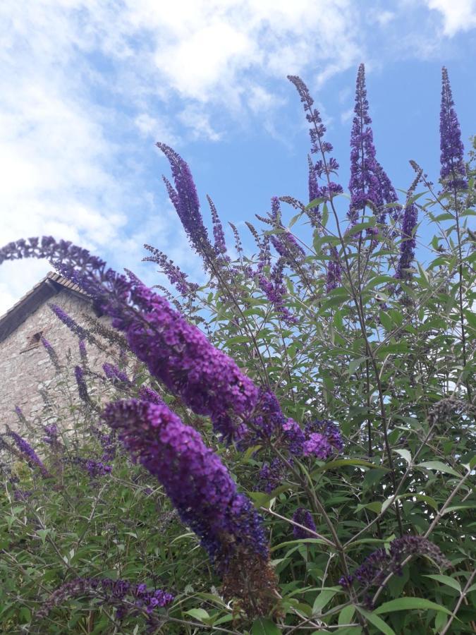 B&B Buddleja Saint-Hilaire-les-Places Dış mekan fotoğraf